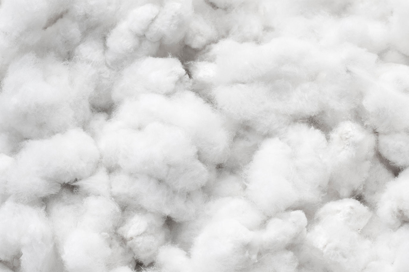 Cotton